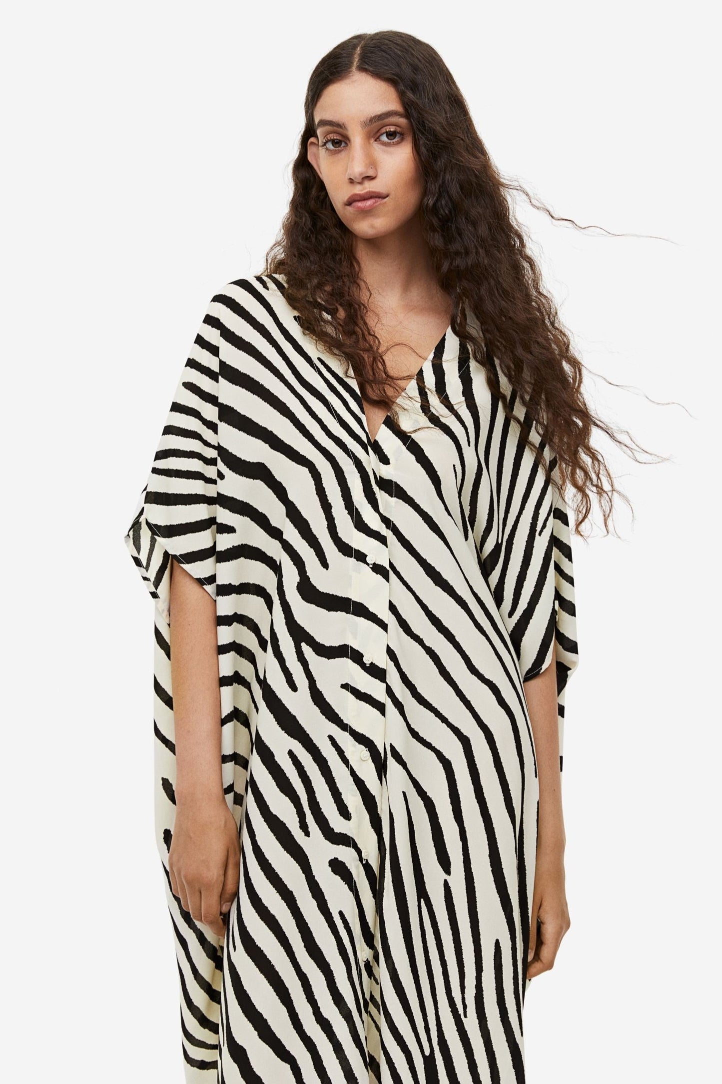 Wild Stripe | Zebra Print Shirt Dress