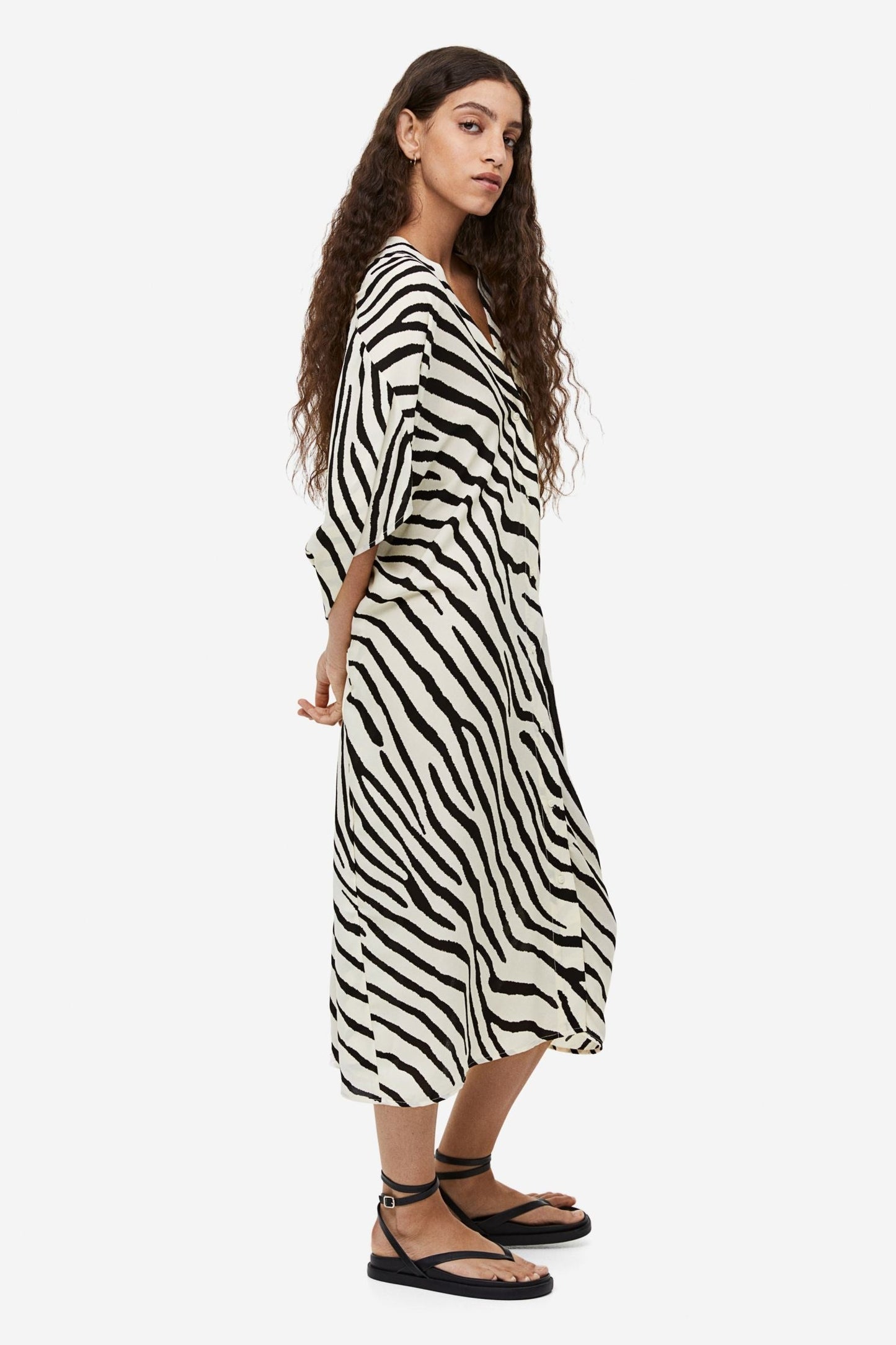 Wild Stripe | Zebra Print Shirt Dress